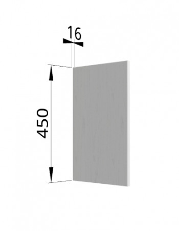 Панель торцевая (для шкафа горизонтального высокого) ВПГ Ройс (Графит софт) в Хорошем - horoshee.mebel54.com | фото